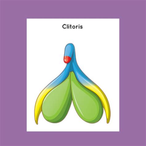 clitporn|Clit .